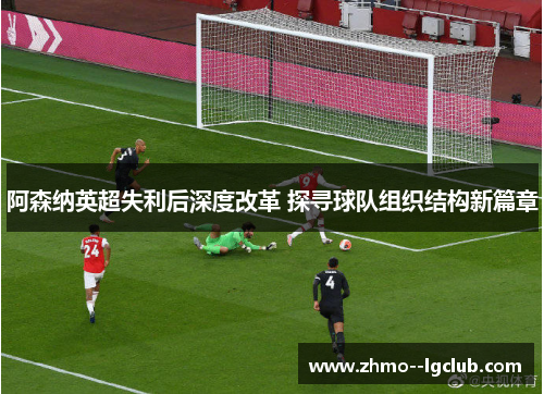 阿森纳英超失利后深度改革 探寻球队组织结构新篇章