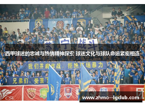 西甲球迷的忠诚与热情精神探索 球迷文化与球队命运紧密相连
